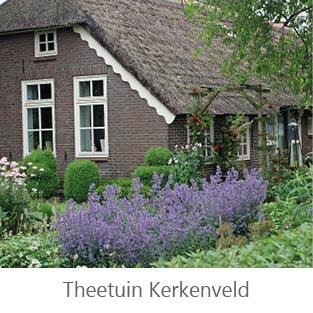 Theetuin Kerkenveld
